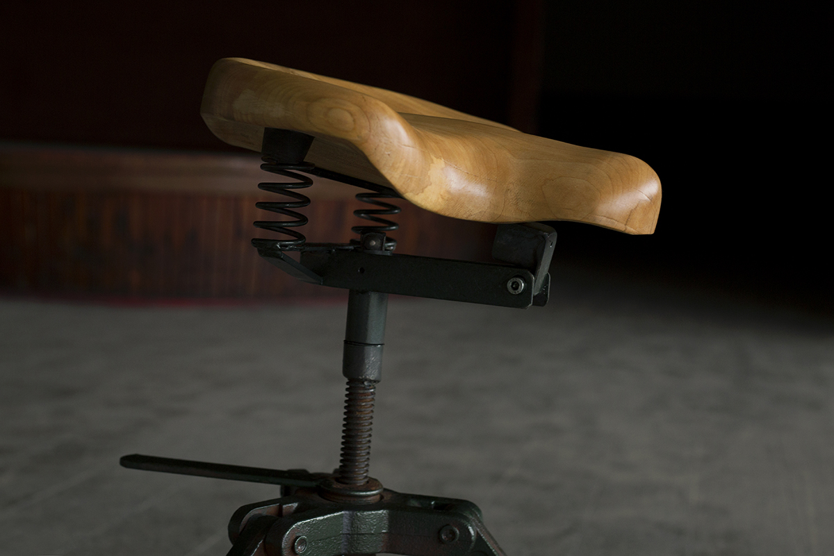_I6A5204_retus woodcock